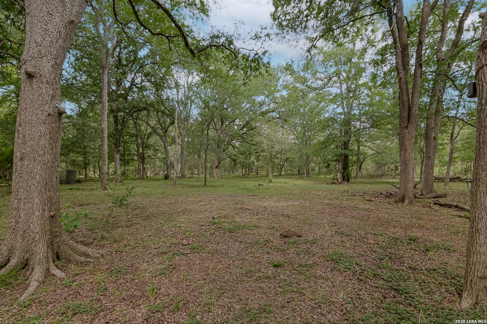 2354 Fm 2438 Seguin TX 78155