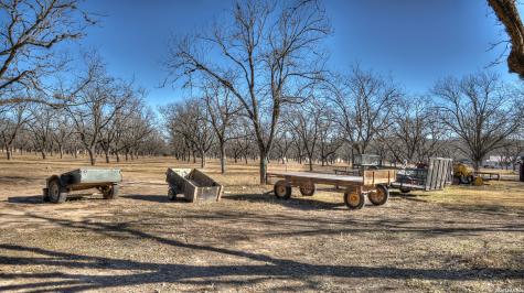 429 Johnny Seibert Lane Leakey TX 78873