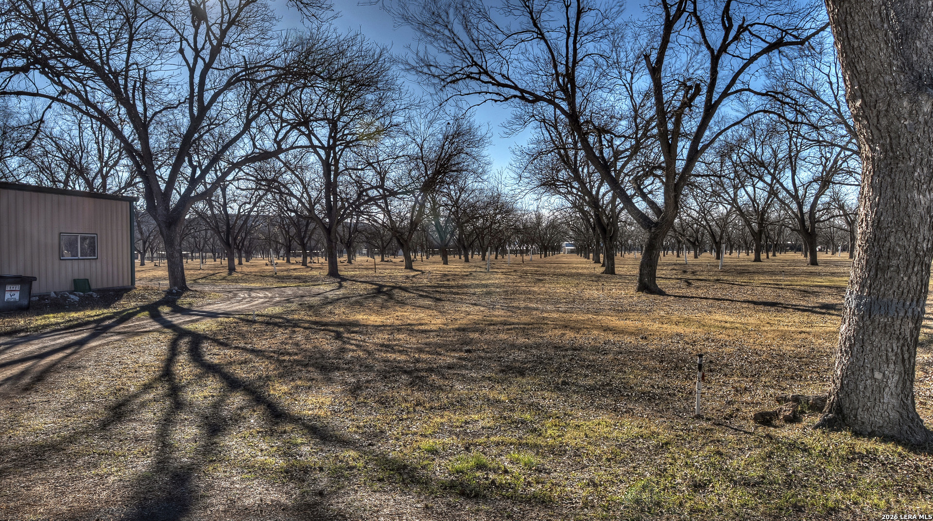 429 Johnny Seibert Lane Leakey TX 78873