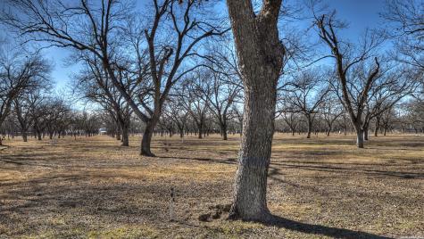 429 Johnny Seibert Lane Leakey TX 78873