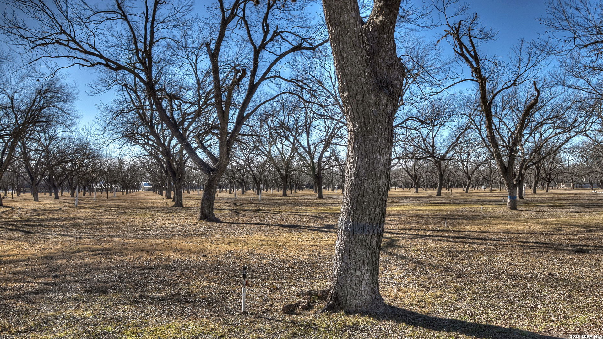 429 Johnny Seibert Lane Leakey TX 78873