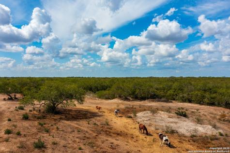 947 County Road 302 Sandia TX 78383