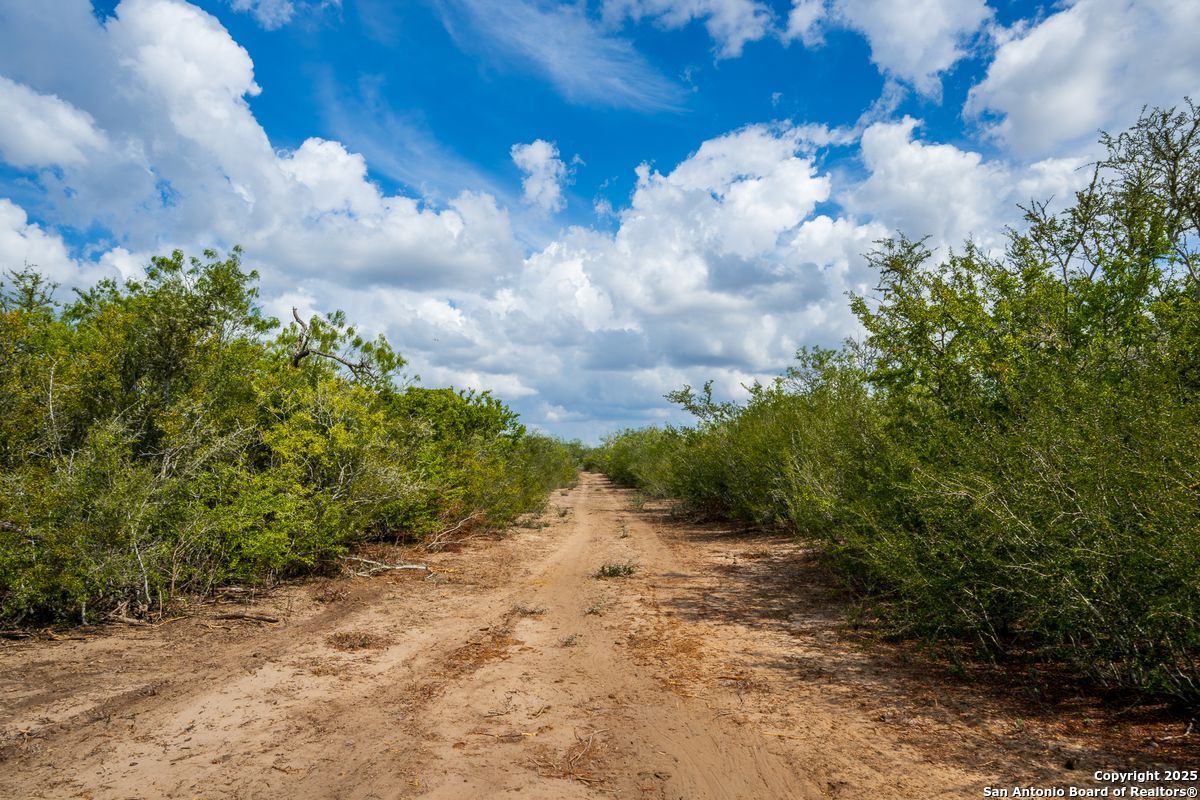 947 County Road 302 Sandia TX 78383