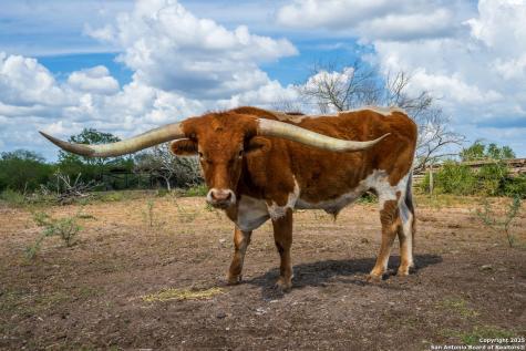 947 County Road 302 Sandia TX 78383