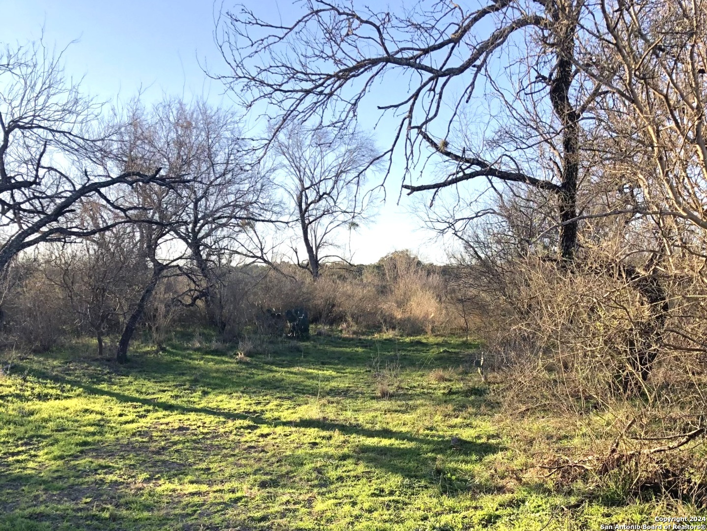 593 Fm 481 Uvalde TX 78801