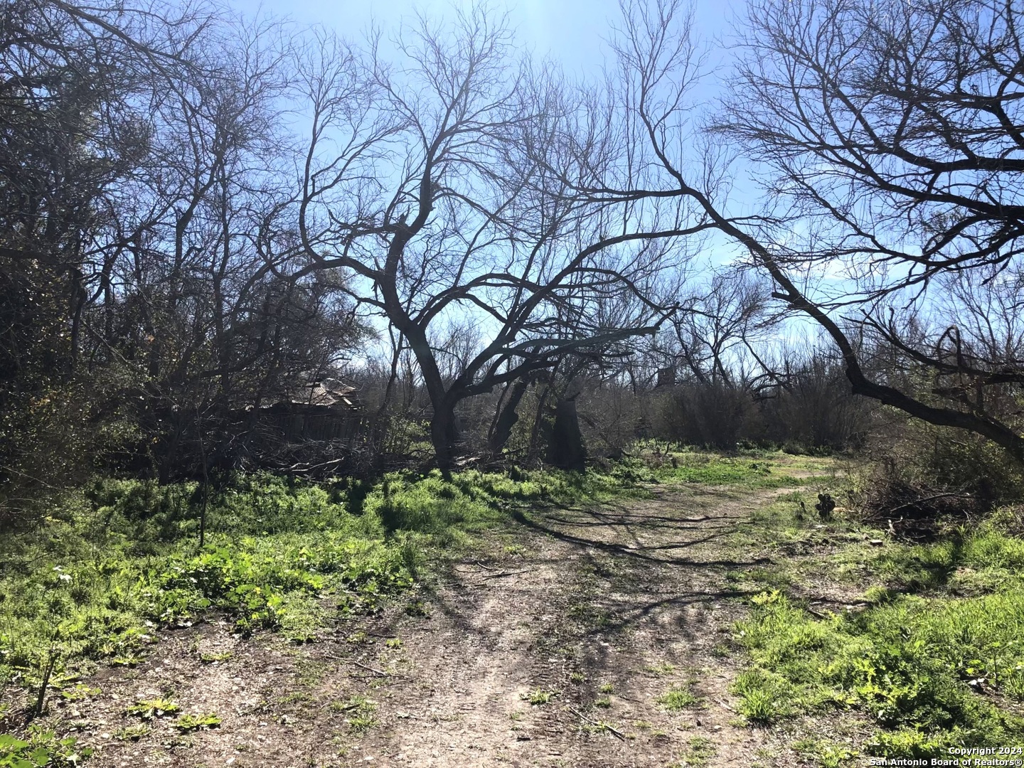 593 Fm 481 Uvalde TX 78801