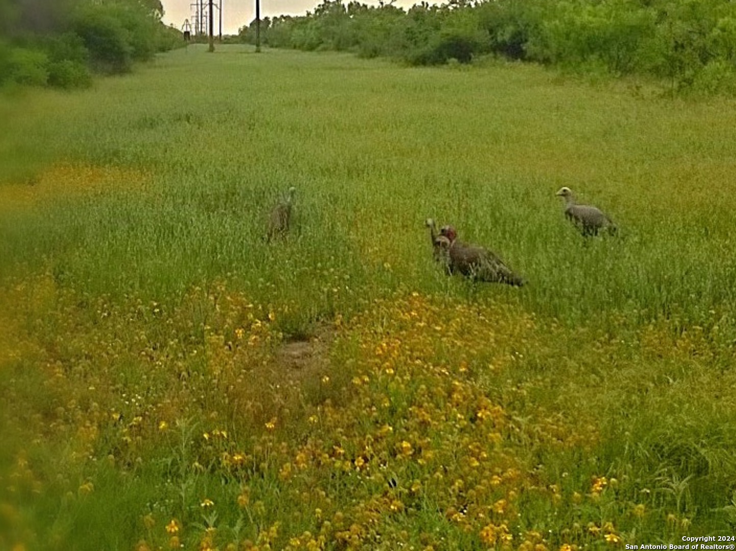 593 Fm 481 Uvalde TX 78801