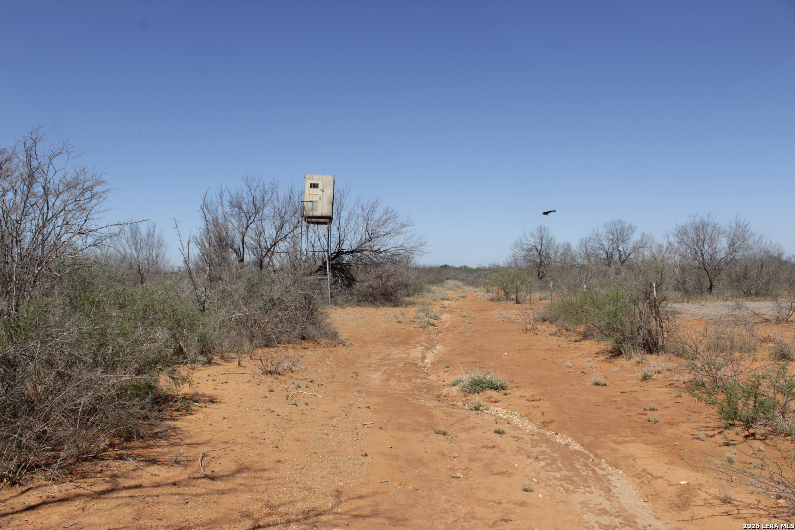 200 Rogers Ranch Road Big Wells TX 78830