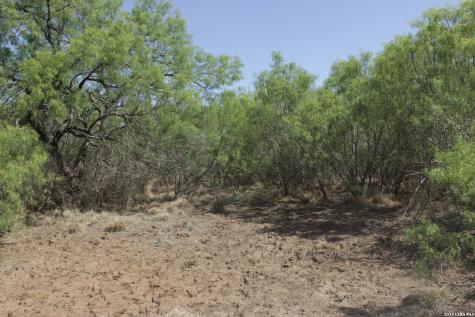 200 Rogers Ranch Road Big Wells TX 78830