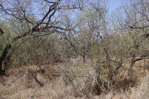 200 Rogers Ranch Road Big Wells TX 78830