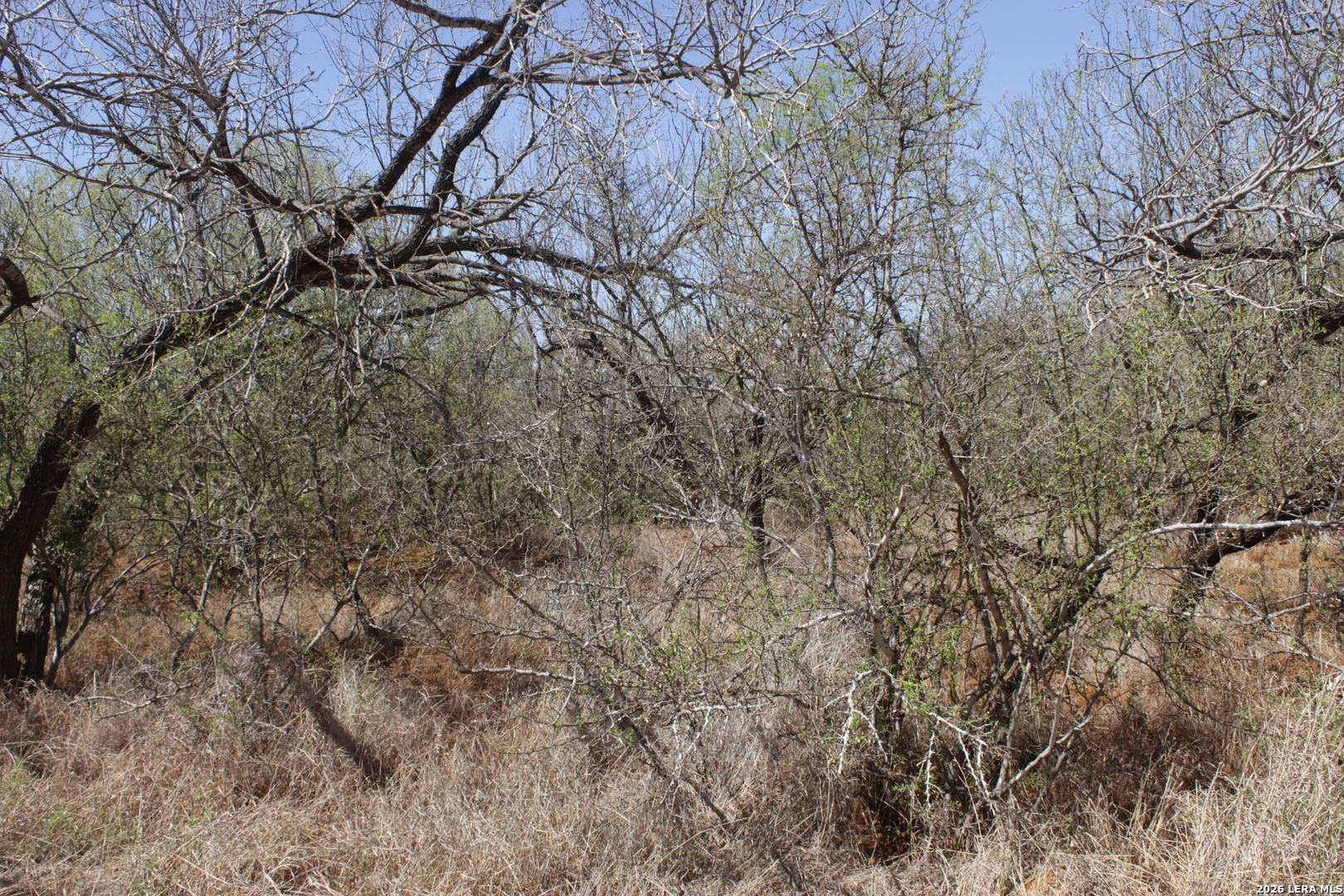 200 Rogers Ranch Road Big Wells TX 78830