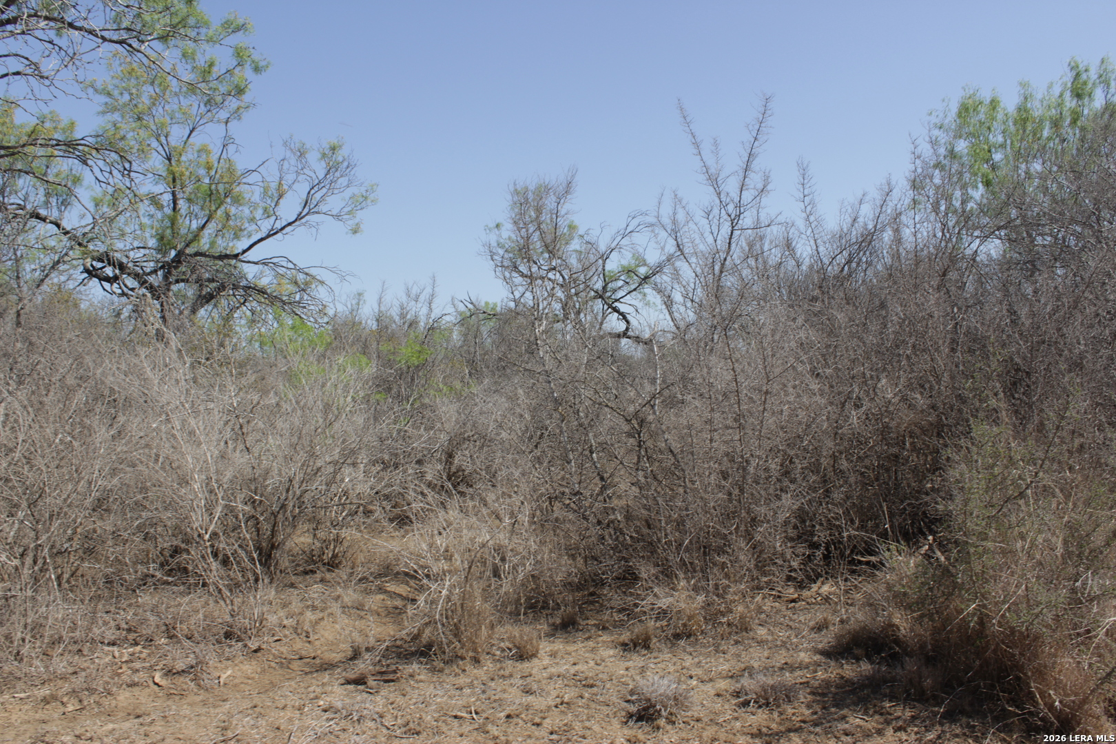 200 Rogers Ranch Road Big Wells TX 78830