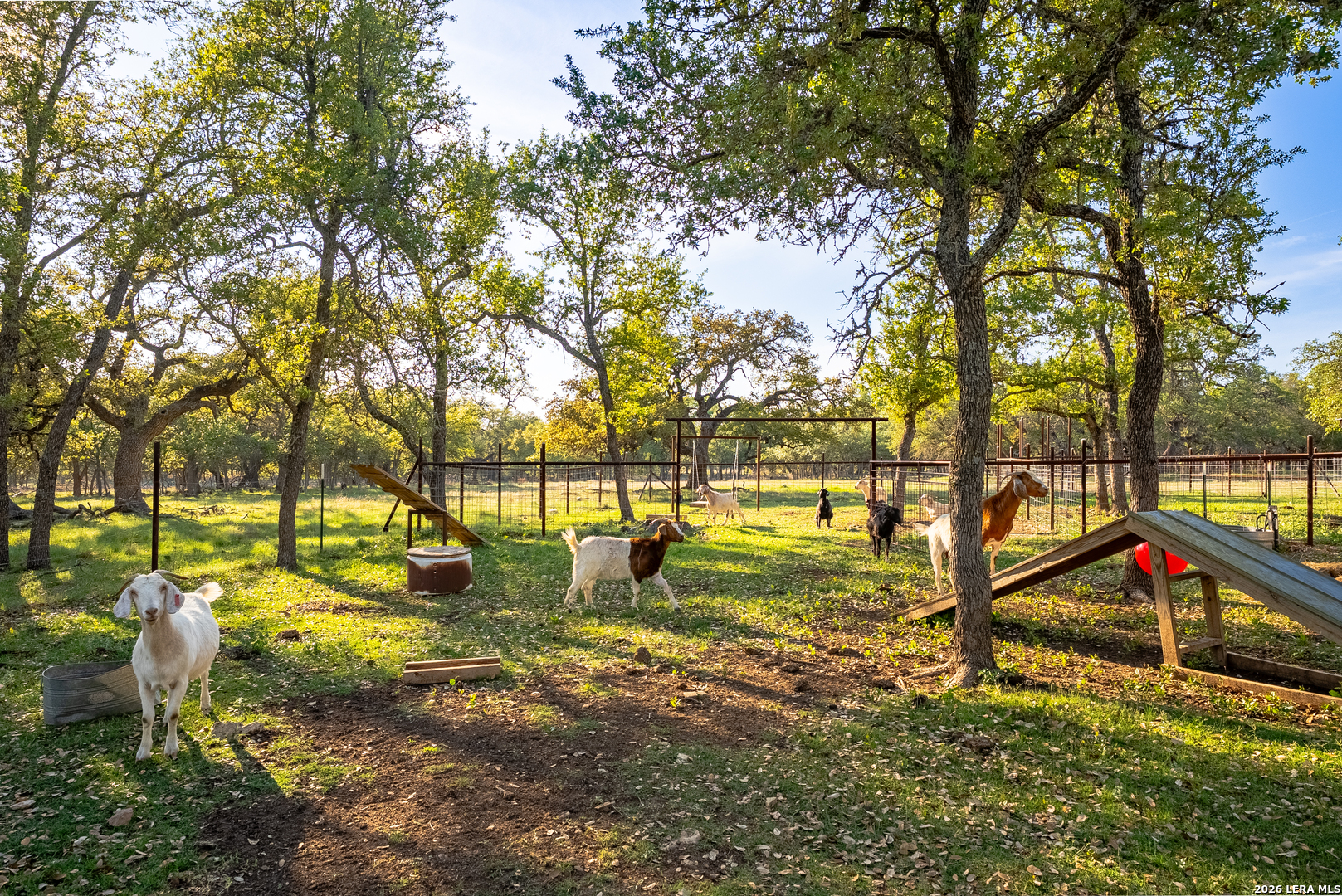 2873 Ranch Road 1888 Fredericksburg TX 78624