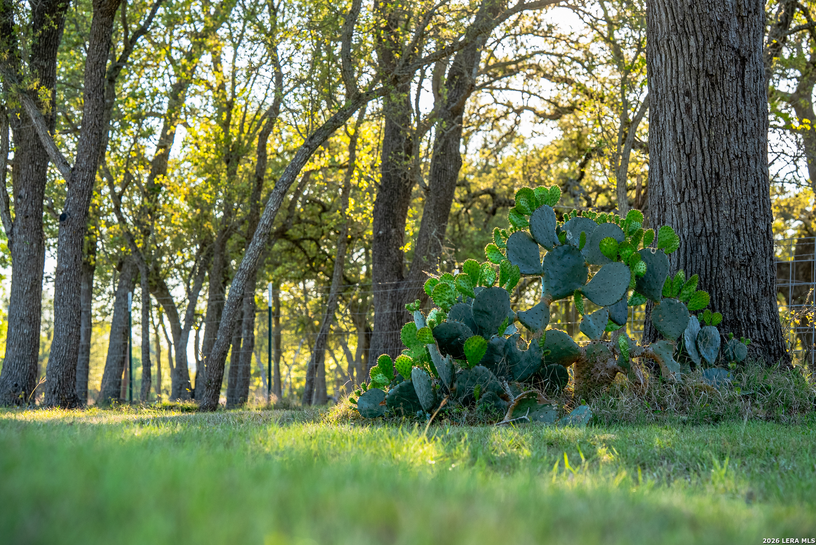 2873 Ranch Road 1888 Fredericksburg TX 78624