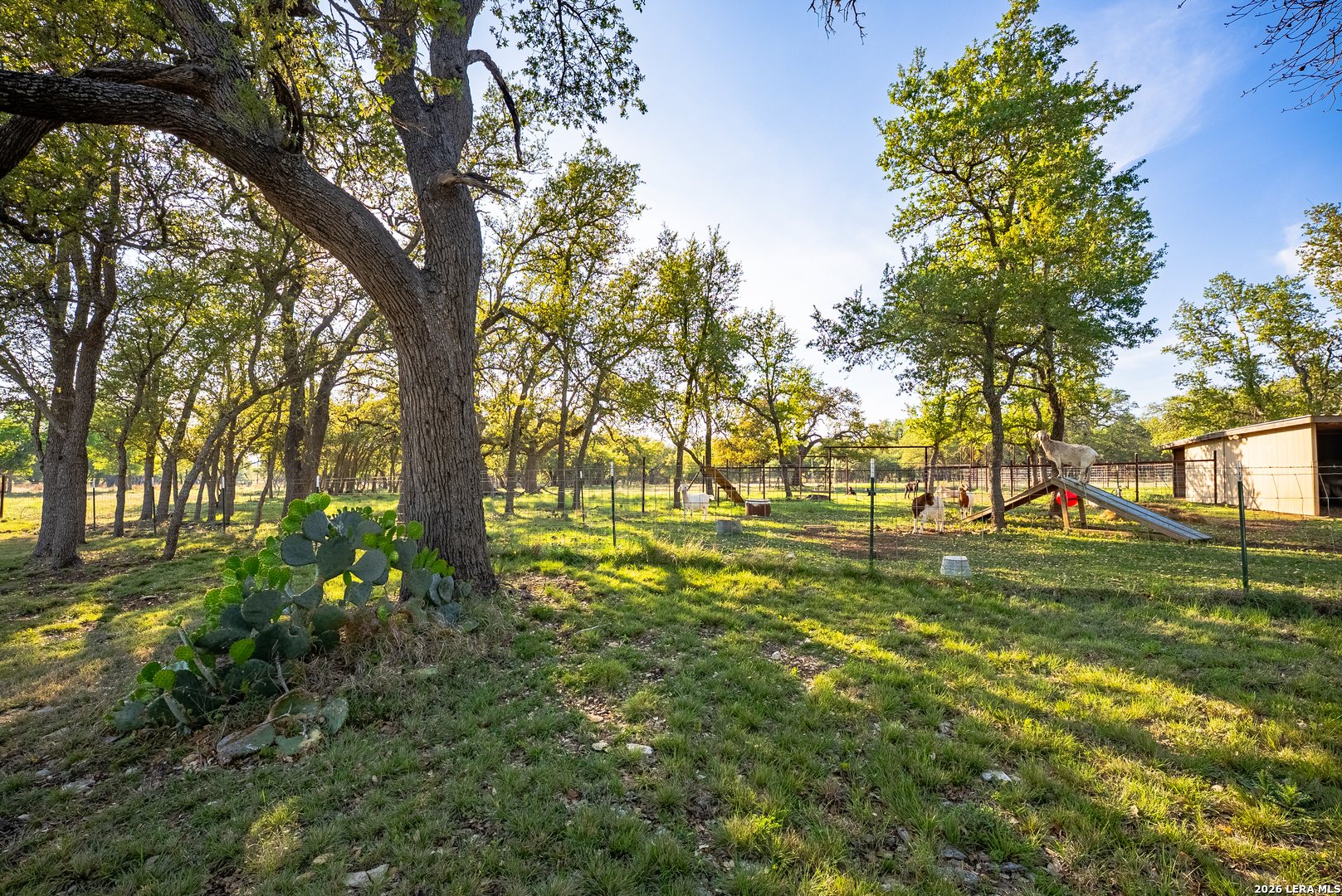 2873 Ranch Road 1888 Fredericksburg TX 78624