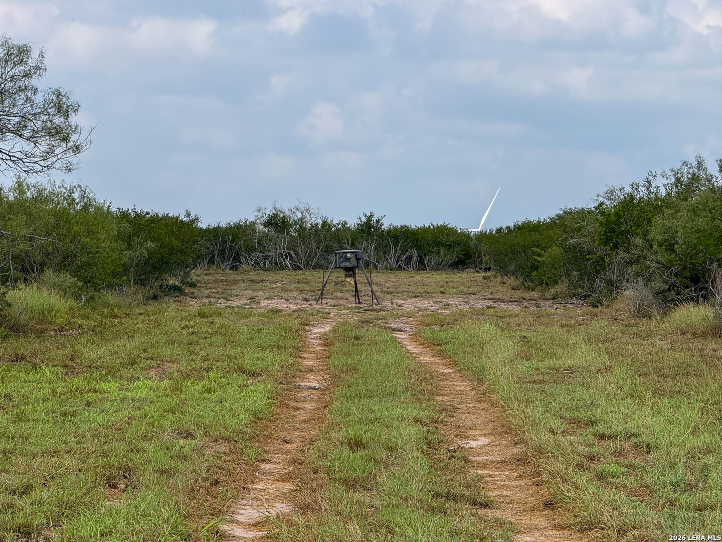 50 Ranch Road Freer TX 78376