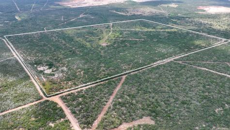 50 Ranch Road Freer TX 78376