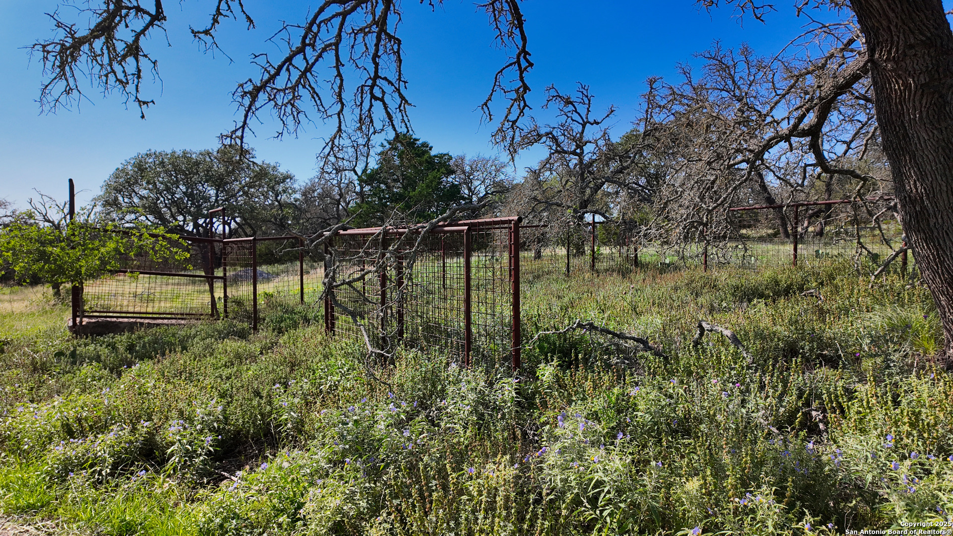857 Dallas-josie Harper TX 78631