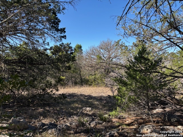 310 N Ringtail Road Camp Wood TX 78833