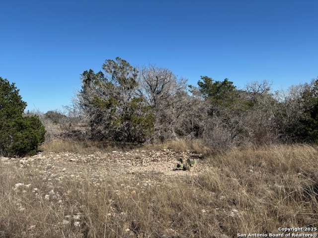 310 N Ringtail Road Camp Wood TX 78833