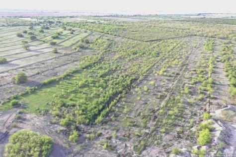 Tbd Iowa Road Edinburg TX 78542