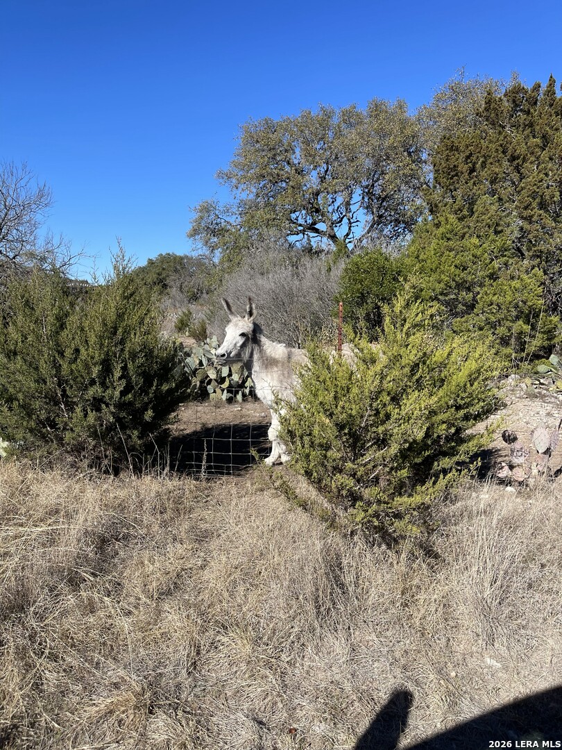 305 Walnut Springs Ranch Road Uvalde TX 78801