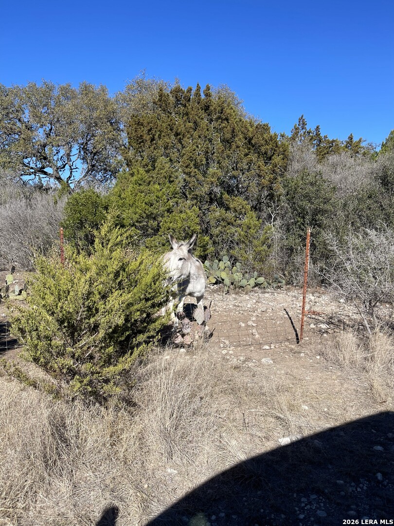 305 Walnut Springs Ranch Road Uvalde TX 78801