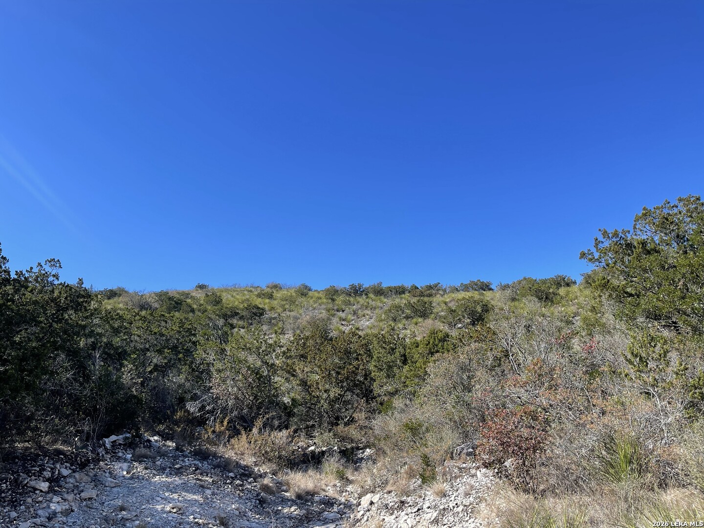 305 Walnut Springs Ranch Road Uvalde TX 78801