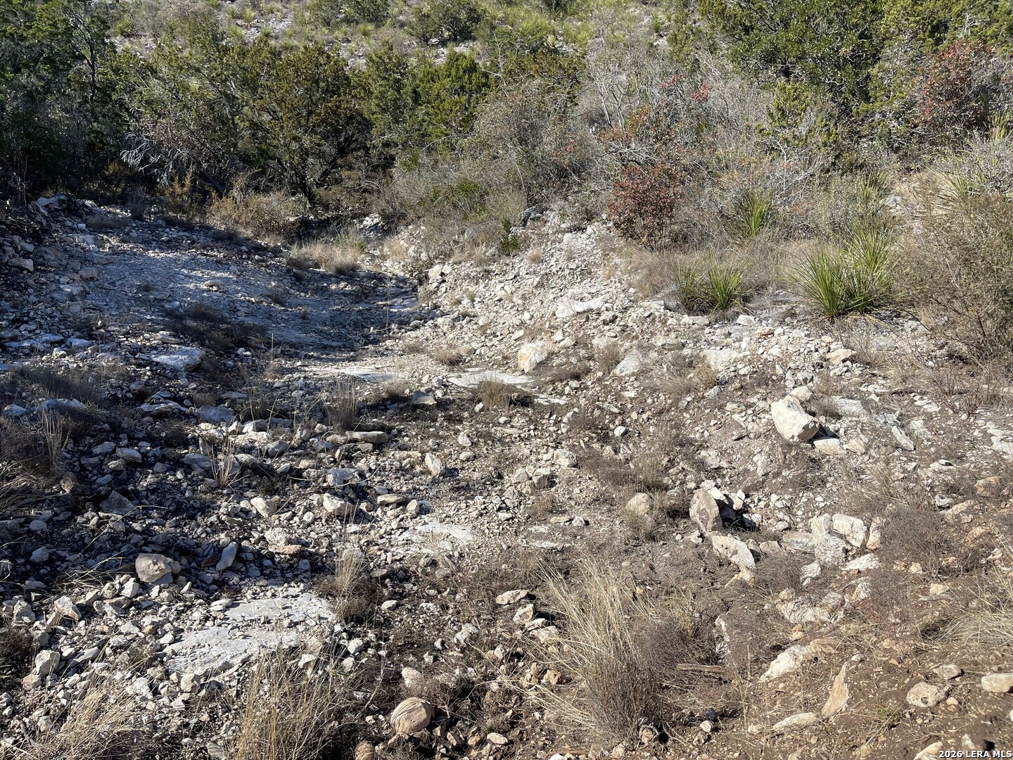 305 Walnut Springs Ranch Road Uvalde TX 78801