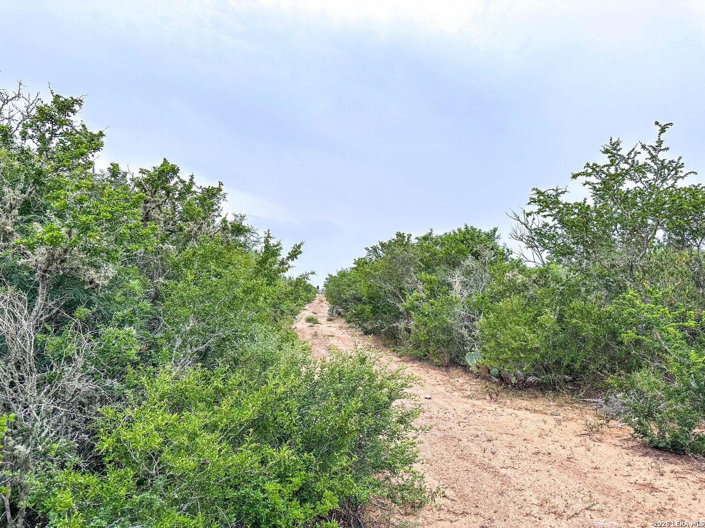 000 Cr 103-easement San Diego TX 78384