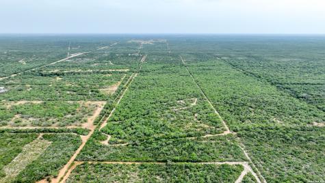 000 Cr 103-easement San Diego TX 78384
