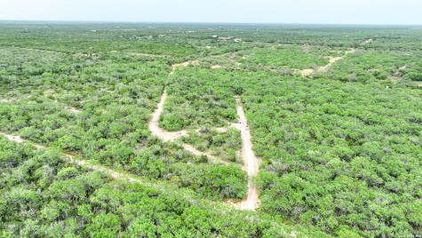000 Cr 103-easement San Diego TX 78384