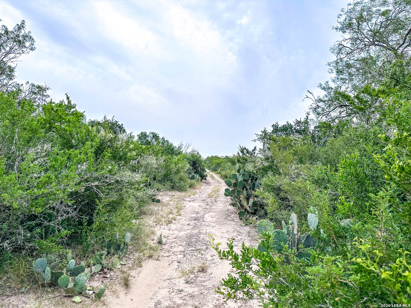 000 Cr 103-easement San Diego TX 78384