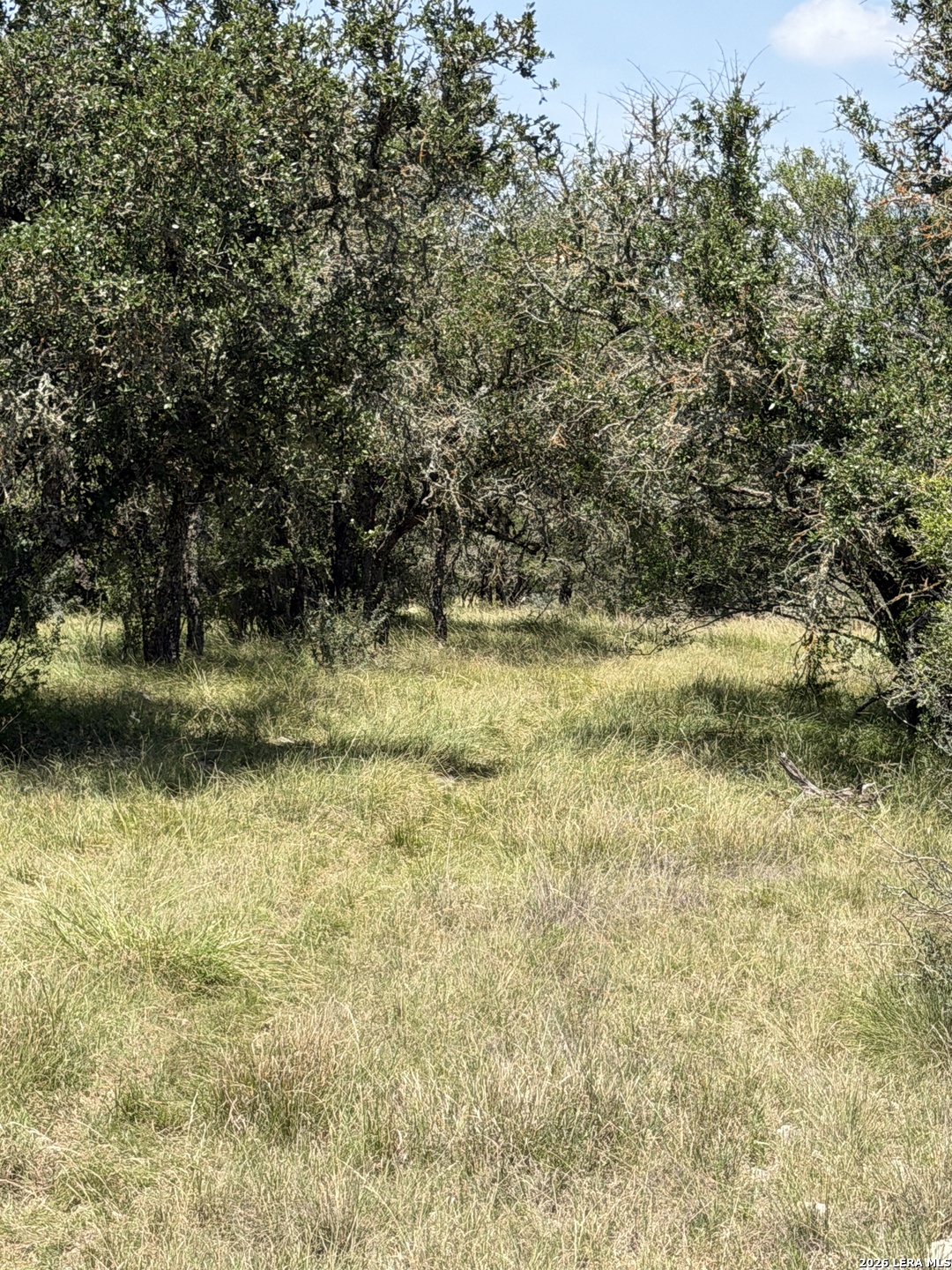 253 Sd 31510 Rocksprings TX 78880