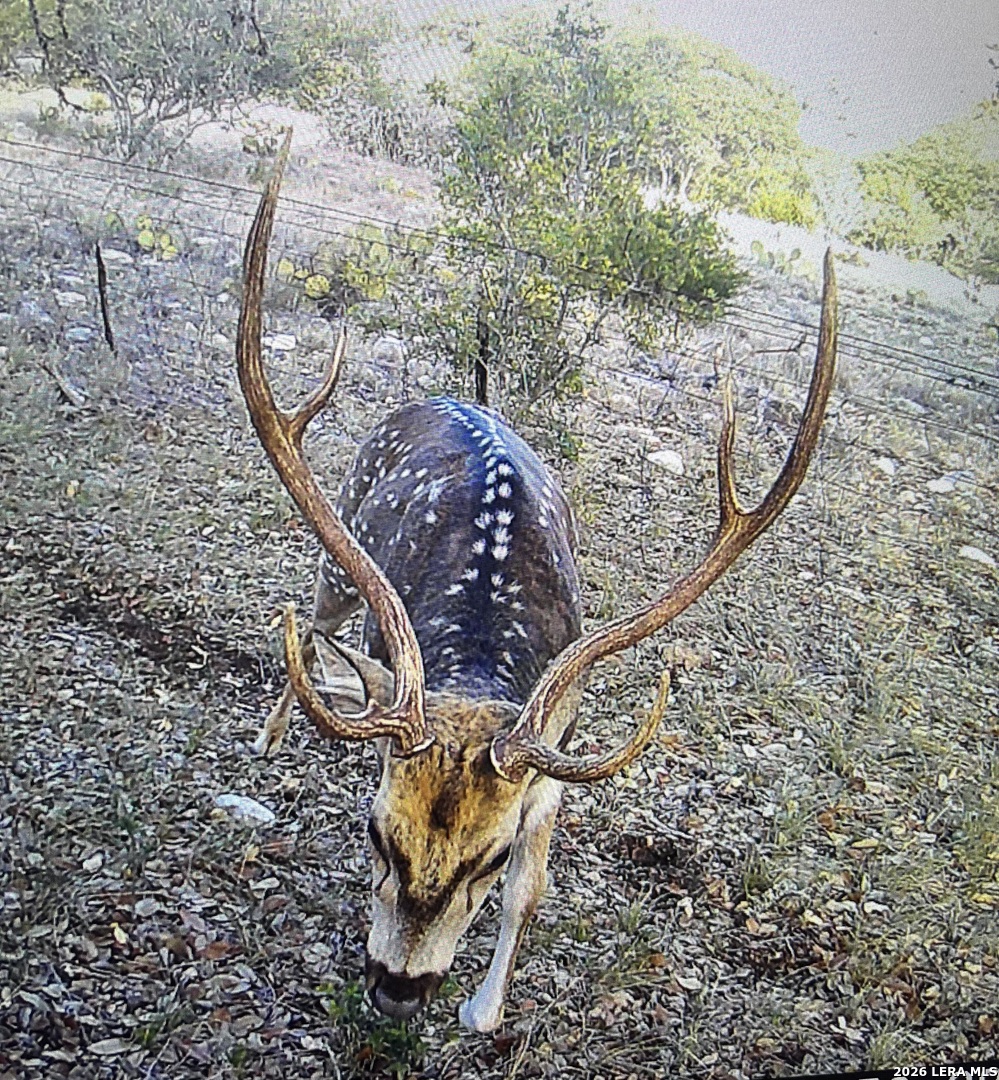 253 Sd 31510 Rocksprings TX 78880