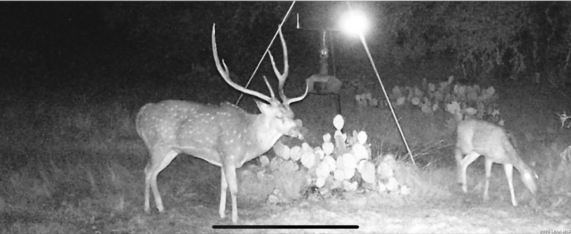 253 Sd 31510 Rocksprings TX 78880