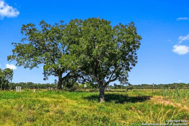440 Chimney Valley Drive Blanco TX 78606
