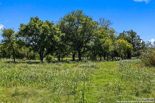 440 Chimney Valley Drive Blanco TX 78606
