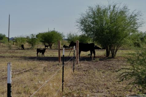 3211 Cr 301 Knippa TX 78870