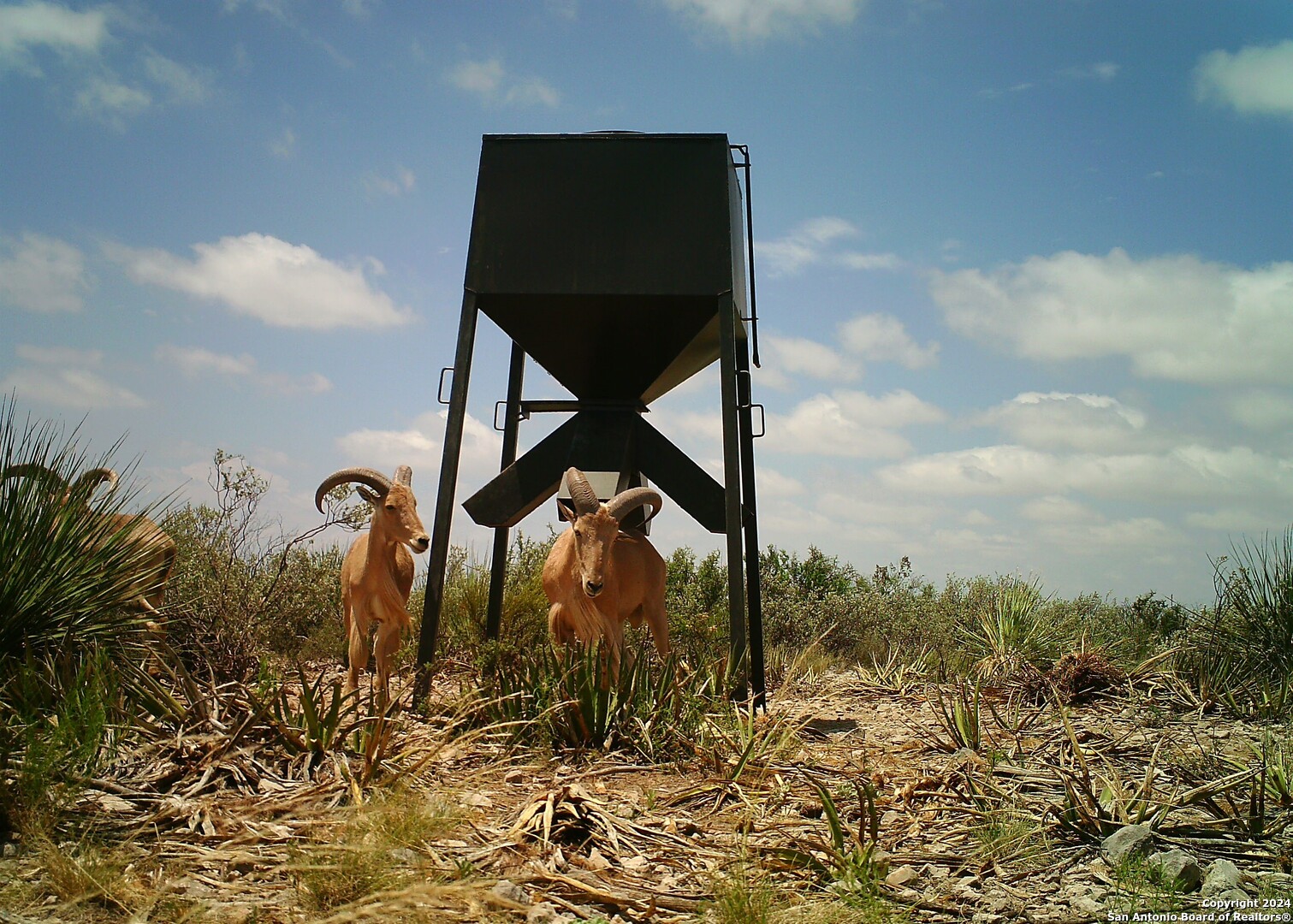 Tbd Pumpville Road Dryden TX 78851