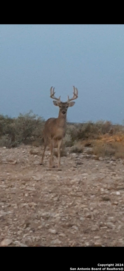 Tbd Pumpville Road Dryden TX 78851