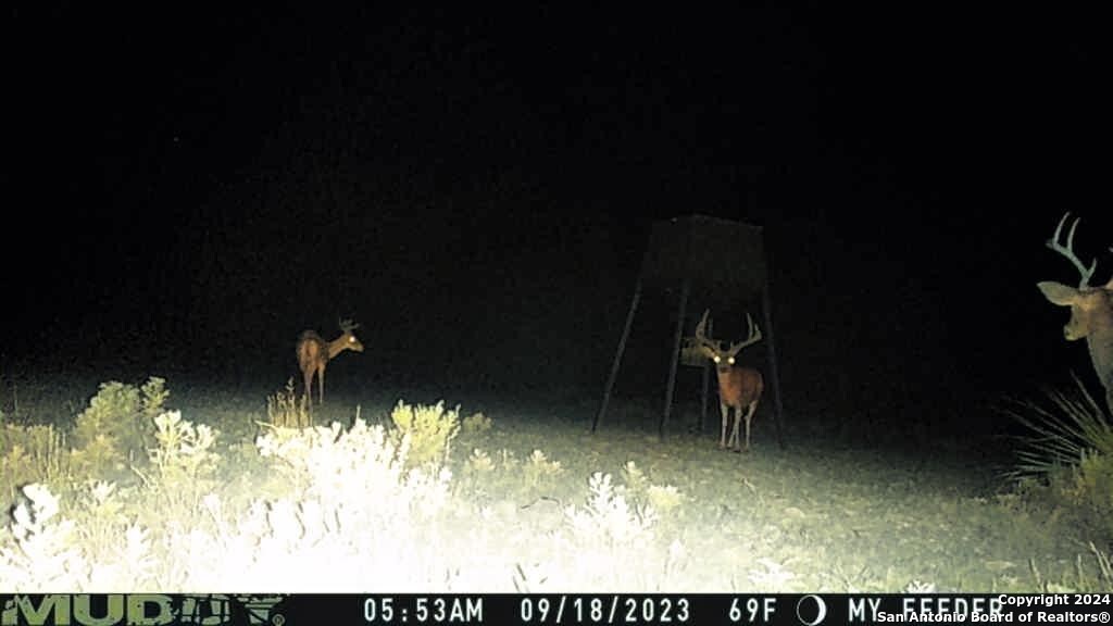 Tbd Pumpville Road Dryden TX 78851