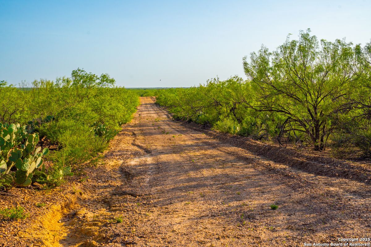 0 Fm 1688 Crystal City TX 78839