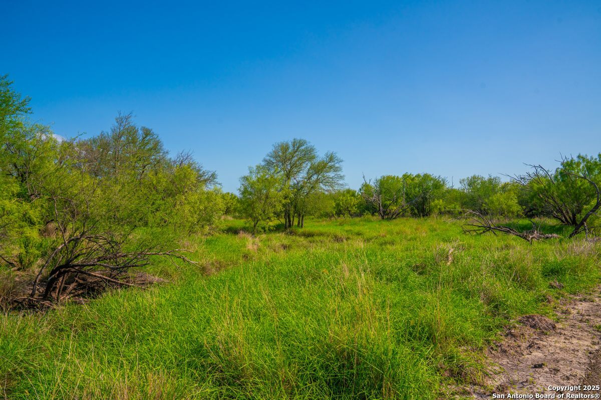 0 Fm 1688 Crystal City TX 78839