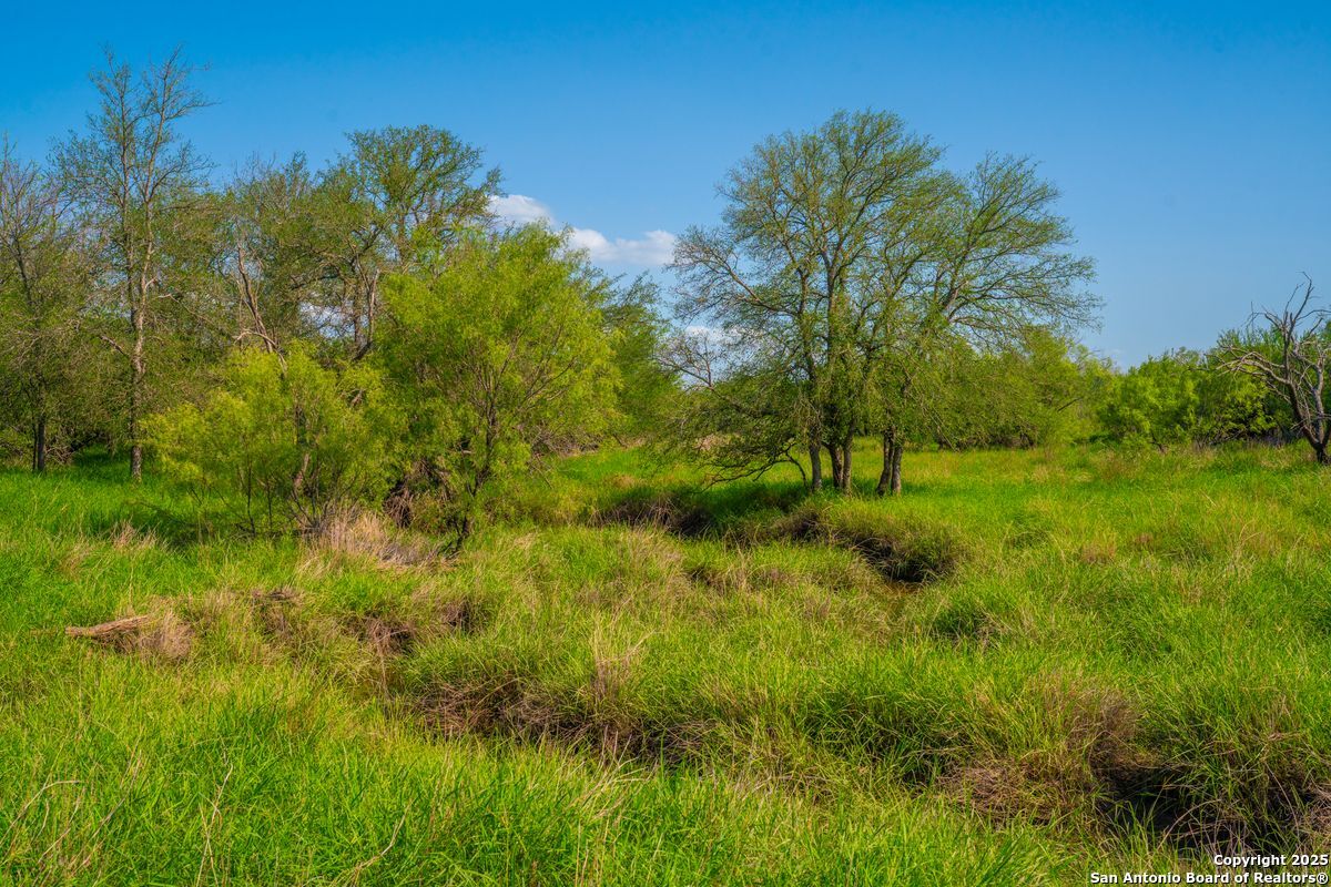 0 Fm 1688 Crystal City TX 78839