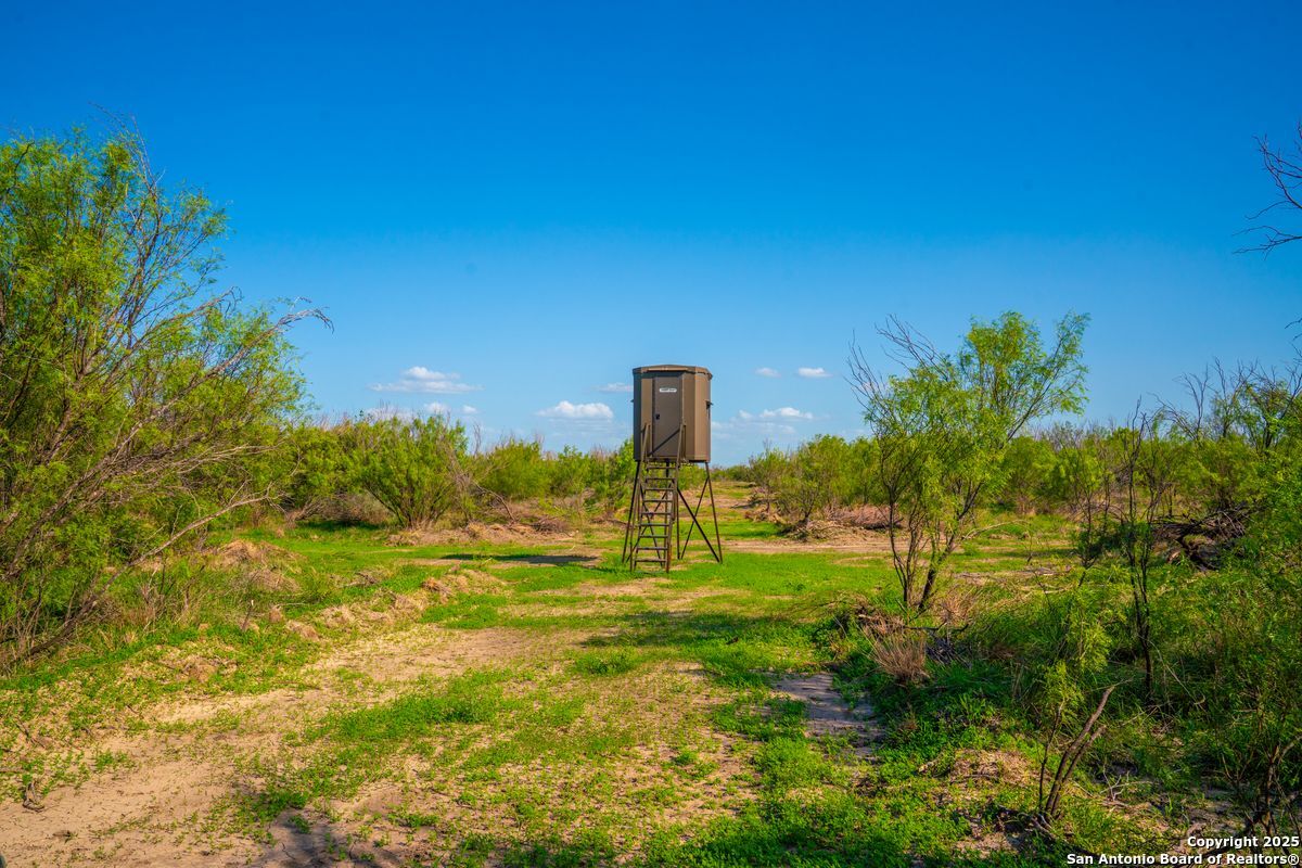 0 Fm 1688 Crystal City TX 78839