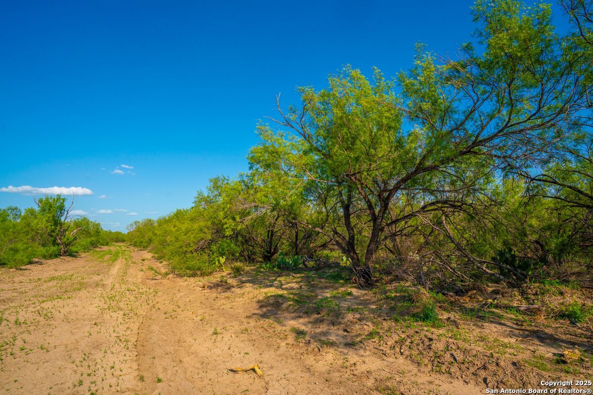 0 Fm 1688 Crystal City TX 78839