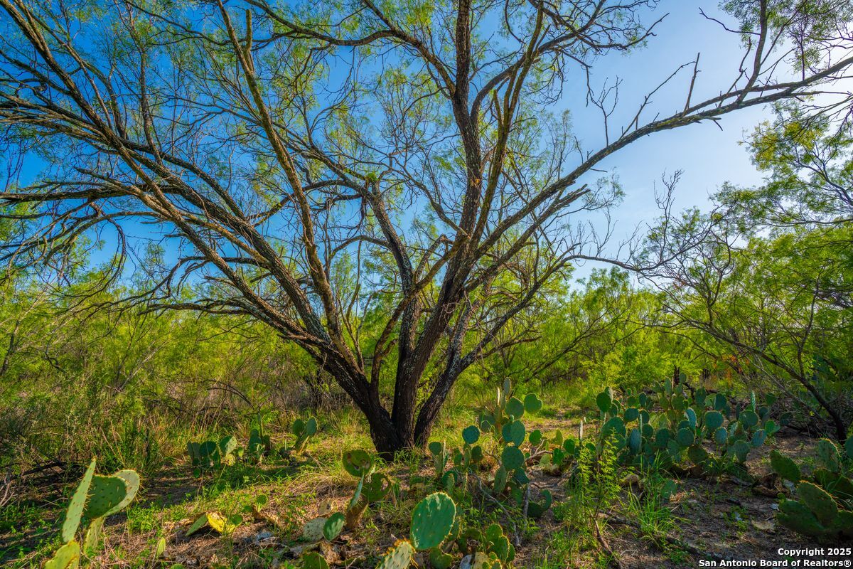 0 Fm 1688 Crystal City TX 78839