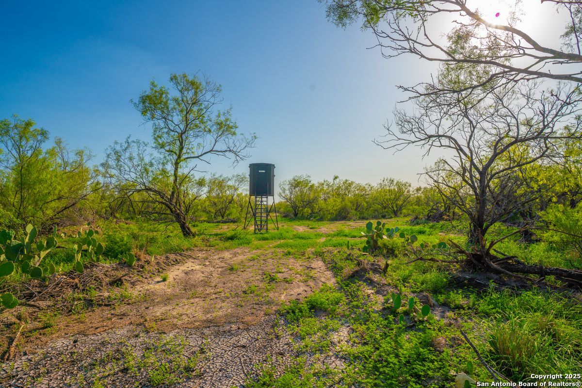 0 Fm 1688 Crystal City TX 78839