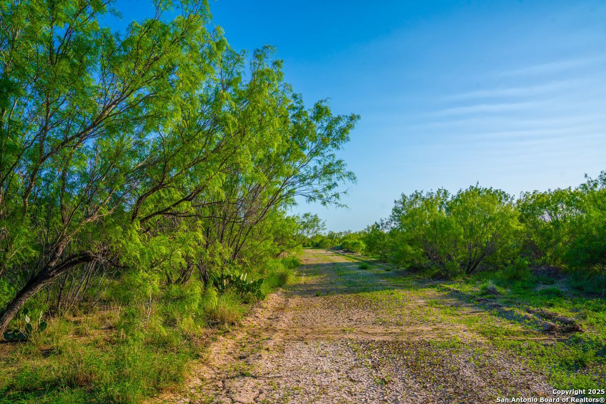 0 Fm 1688 Crystal City TX 78839